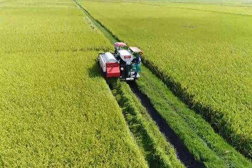 Sửa Luật Đất đai để thúc đẩy nông nghiệp đại điền