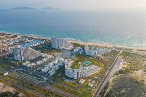 Dừng tổ chức 'Giải bơi biển quốc tế' tại Khánh Hòa