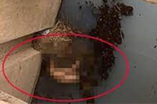 Ngó xuống bên dưới mương thoát nước, người dân phát hiện cảnh tượng kinh hãi