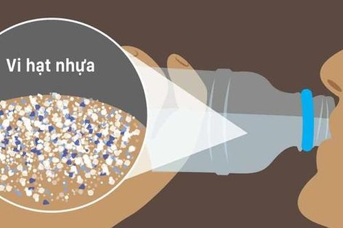Đồ nhựa có thể gây rối loạn hormone, làm sao để phòng tránh?