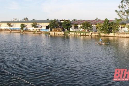 Trang trại hữu cơ tuần hoàn không rác thải