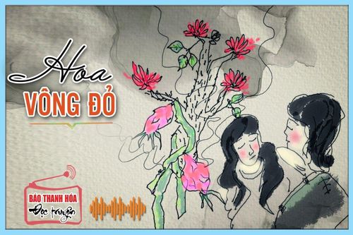 Truyện ngắn: Hoa vông đỏ