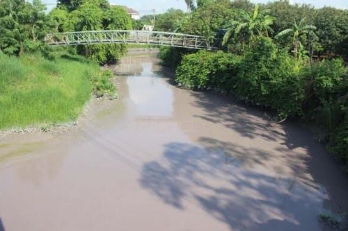 Đồng Nai: Nguồn nước sông Buông đang bị 'bức tử'