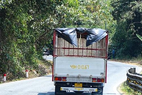 Giải pháp làm giảm tai nạn giao thông trên đèo Bảo Lộc bằng camera