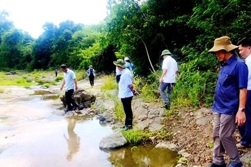 Tạm đình chỉ giải quyết nguồn tin tội phạm liên quan 5 trại chăn nuôi heo ở huyện Tuy An