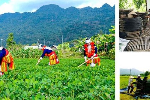 3 Chương trình mục tiêu quốc gia - nhiều nhiệm vụ cấp bách trước mắt