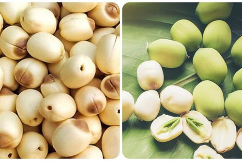 Những người không nên ăn hạt sen
