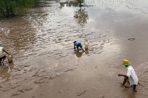 Săn bống sao ở Mỏ Ó