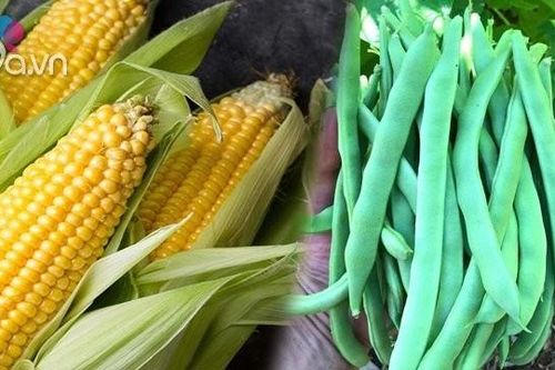 Loại rau củ quả ít và nhiều thuốc trừ sâu nhất
