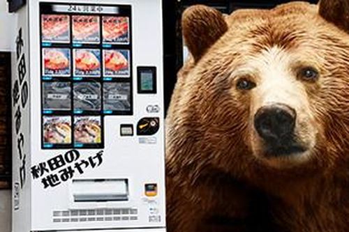 Bỏ gần 400 nghìn đồng mua thịt gấu đen từ máy bán hàng tự động ở Nhật