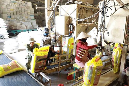 Thị trường nông sản tuần qua: Giá lúa biến động trái chiều