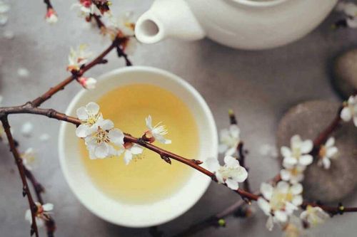 7 loại trà giúp kéo dài tuổi thọ