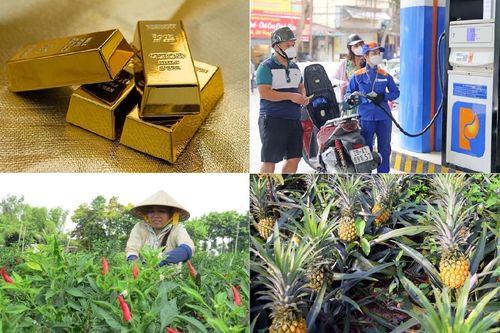 Tiêu dùng trong tuần (từ 3-9/4/2023): Nhiều mặt hàng đồng loạt tăng giá