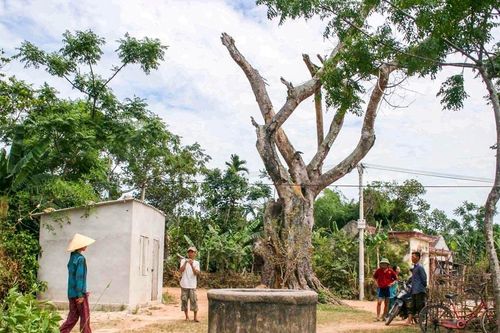 Giếng làng trong văn hóa vùng miền của người Việt