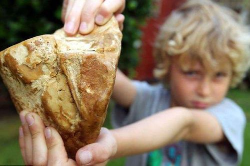 Cậu bé nhặt được hòn đá lạ, tưởng là bỏ đi mà hóa 'kho báu' 1,1 tỷ đồng