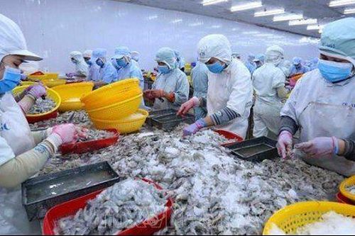 Vì sao Sao Ta (FMC) xác định thị trường Trung Quốc không phải 'miền đất hứa'?