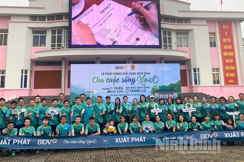 BIDV Tam Điệp phát động giải chạy BIDVRUN- cho cuộc sống xanh 2023