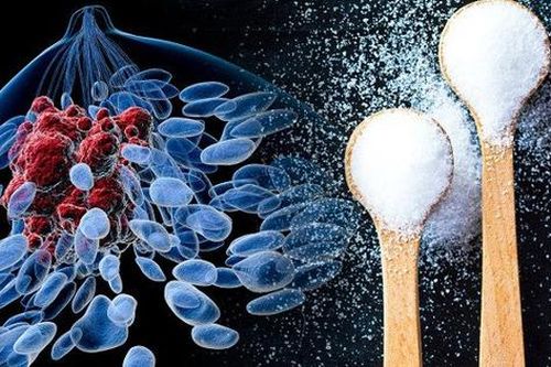Ăn nhiều thực phẩm chứa đường có khả năng gây ung thư?