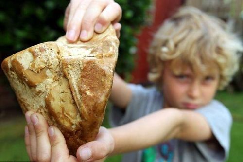Đi dạo biển, nhặt được thứ tưởng bỏ đi hóa ra 'báu vật' tiền tỷ