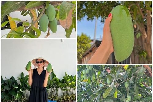 Hé lộ điều đặc biệt trong tổ ấm triệu đô của Tăng Thanh Hà