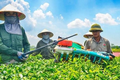 'So bó đũa, chọn cột cờ' 300 hợp tác xã điển hình