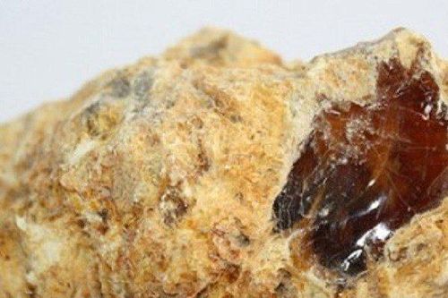 Đi dạo biển, cậu bé nhặt được 'hòn đá lạ' trị giá hơn 1,1 tỷ đồng