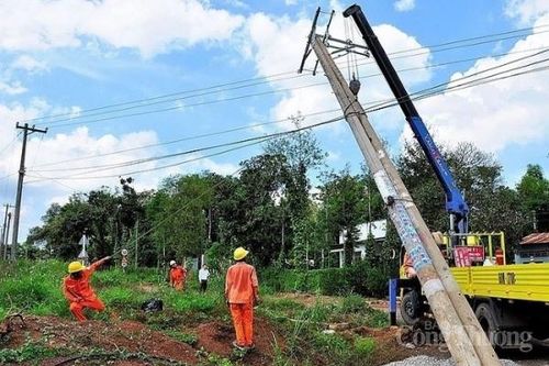Đồng Tháp: 8/8 xã biên giới đạt Tiêu chí số 4 và số 7 trong xây dựng nông thôn mới