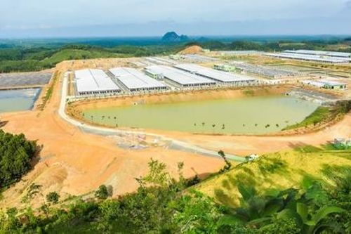 Tập đoàn Xuân Thiện: Vững mạnh tài chính nhờ tận dụng tốt các nguồn lực quốc tế
