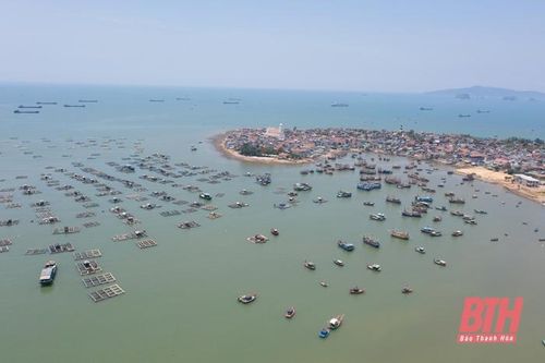 Quan tâm phát triển thủy sản gắn với bảo vệ chủ quyền trên biển