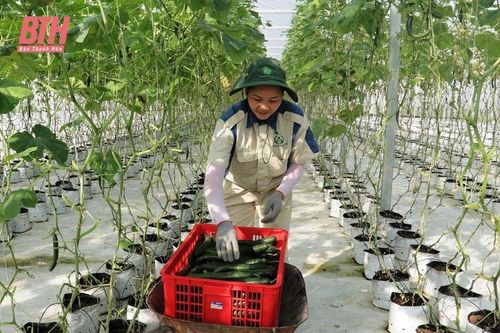 22 sản phẩm hết thời hạn sử dụng nhãn hiệu OCOP
