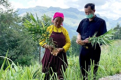 Bảo đảm đất ở, đất sản xuất cho đồng bào dân tộc thiểu số