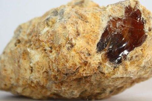 Nhặt được cục đá vô tri bên bờ biển, cậu bé không ngờ đó là báu vật làm đổi đời cả gia đình