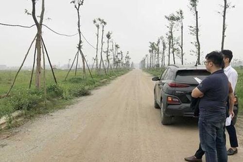 Khi 'cò' đất trở thành 'cuội' đất