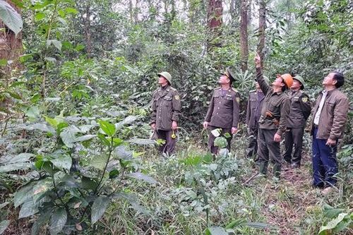 Hà Tĩnh: Chung tay gìn giiữ 'kho báu' nơi biên giới