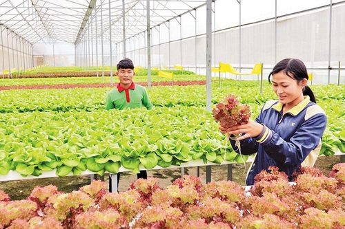 Xây dựng Bệnh viện đa khoa Trung ương khu vực Tây Nguyên