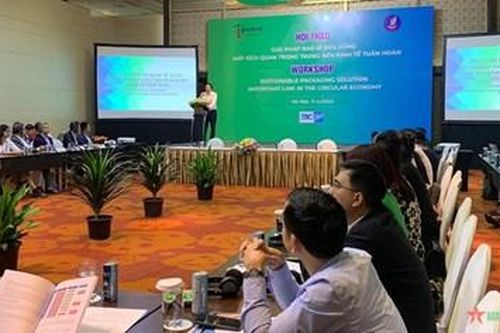 Bao bì bền vững-mắt xích quan trọng trong nền kinh tế tuần hoàn