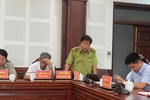 Kỷ luật nhiều cán bộ để mất rừng ở Kbang, Kông Chro