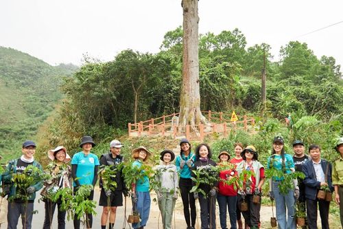Hoa hậu H'Hen Niê hoàn thành trồng 5ha rừng tại Bến En