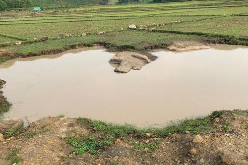 Đi thăm ruộng lúa, người dân tá hỏa phát hiện thi thể hai cháu bé