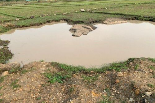 Hai em nhỏ bị đuối nước thương tâm