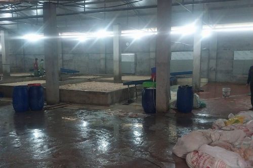 Kinh doanh 7,1 tấn lòng lợn thối, bị phạt 34 triệu đồng