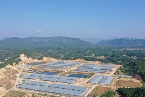 Xuân Thiện Group nỗ lực tận dụng lợi thế từ các nguồn lực quốc tế