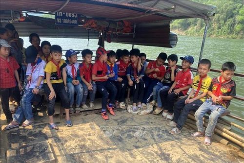 Tròng trành con chữ ở làng Bèo Bọt