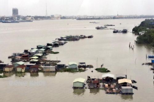 Ngăn chặn tình trạng khai thác cát trái phép trong hành lang an toàn cầu Rạch Miễu