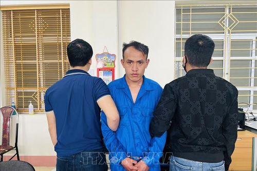 Triệt phá đường dây mua bán trái phép ma túy liên tỉnh