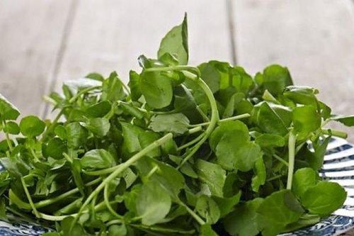 Những công dụng tuyệt vời của rau cải xoong