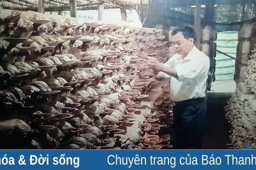 Hội viên Hội nông dân phường Thiệu Khánh làm kinh tế giỏi