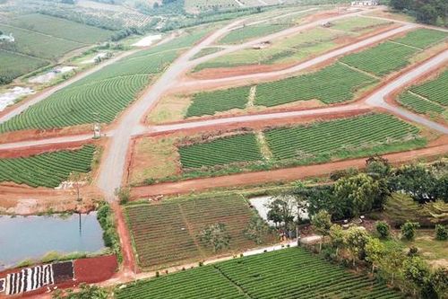 Giao dịch bất động sản ở Lâm Đồng giảm mạnh