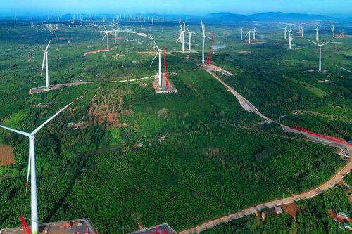Công ty điện gió của Trung Nam lỗ gần 860 tỷ đồng, D/E hơn 4 lần
