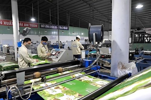 Doanh nghiệp ngành đồ uống tham gia kinh tế tuần hoàn từ khâu bao bì